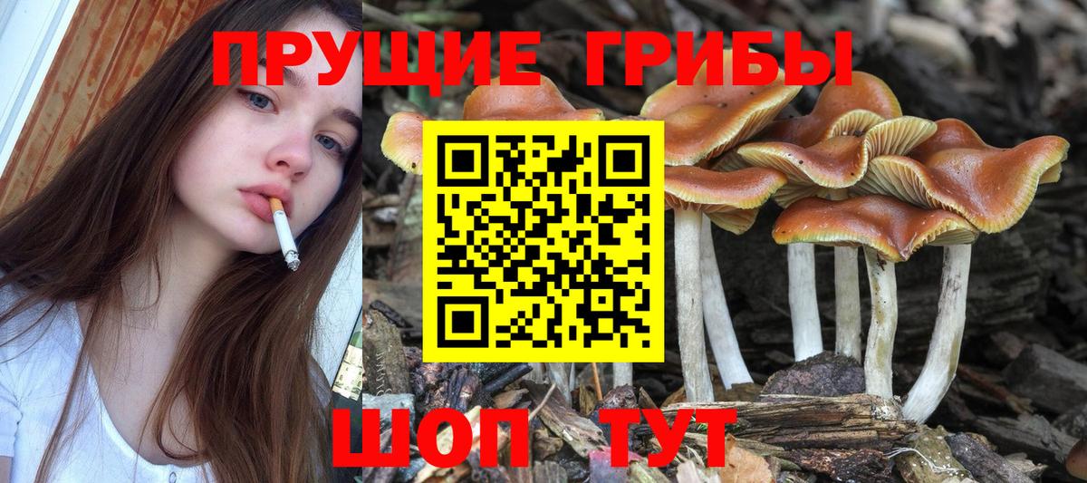 Галлюциногенные грибы прущие грибы  Галлюциногенные грибы Psilocybine cubensis  Вход с VPN  Феодосия 